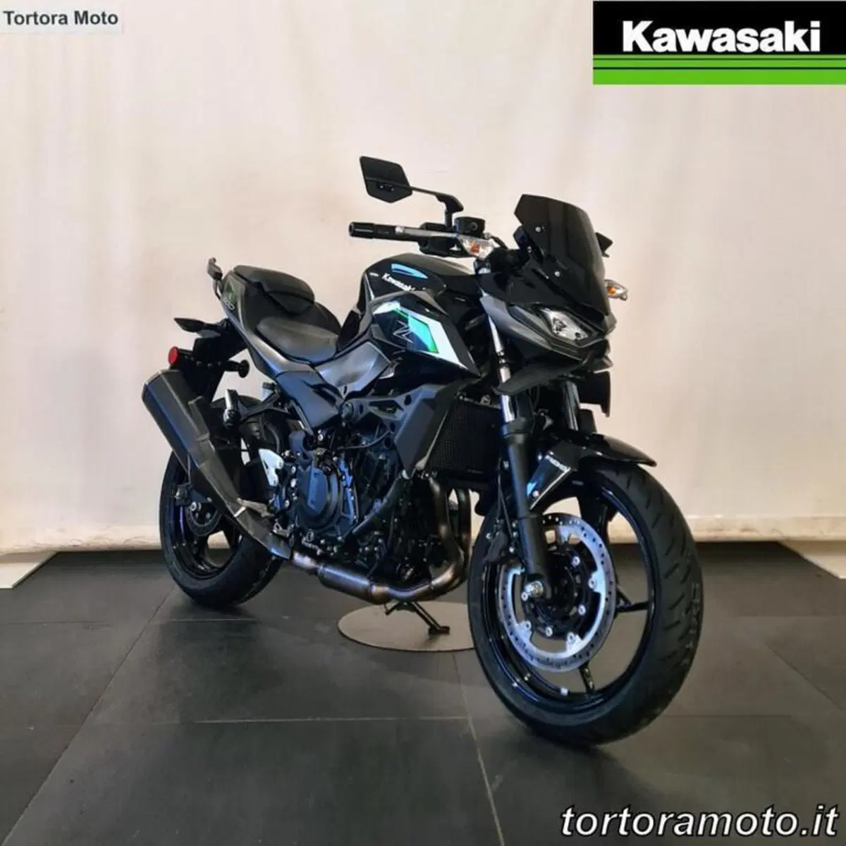 Kawasaki Z 500 (2024 - 26) (4)