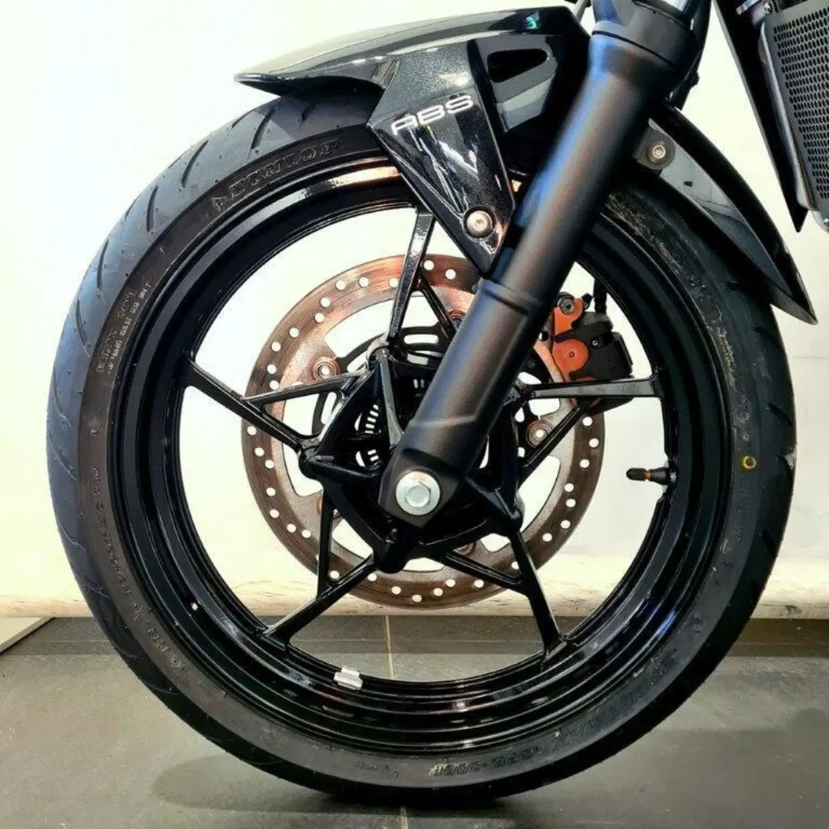 Kawasaki Z 500 (2024 - 26) (7)