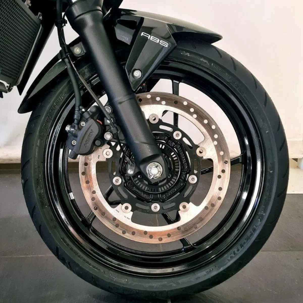 Kawasaki Z 500 (2024 - 26) (15)
