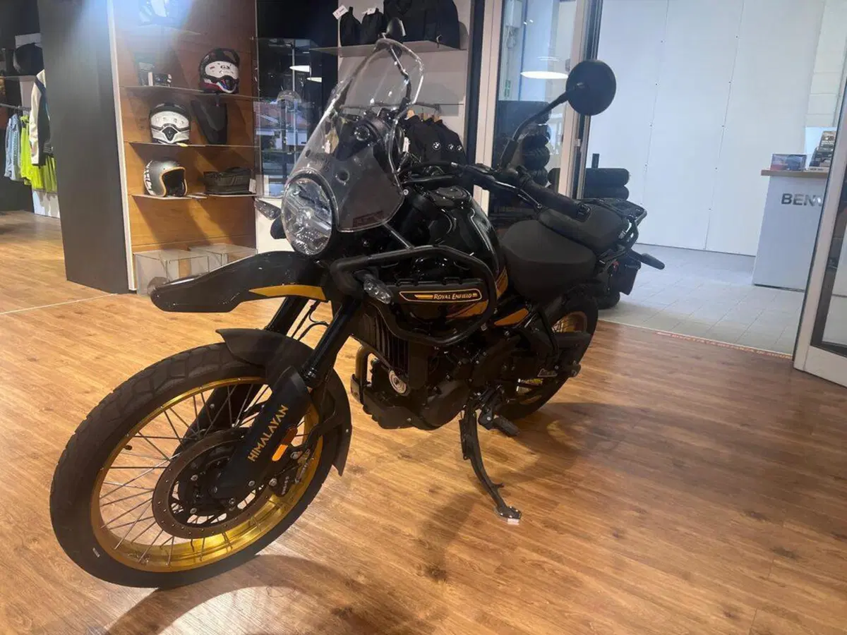 Royal Enfield Himalayan 450 (2024 - 26) (4)