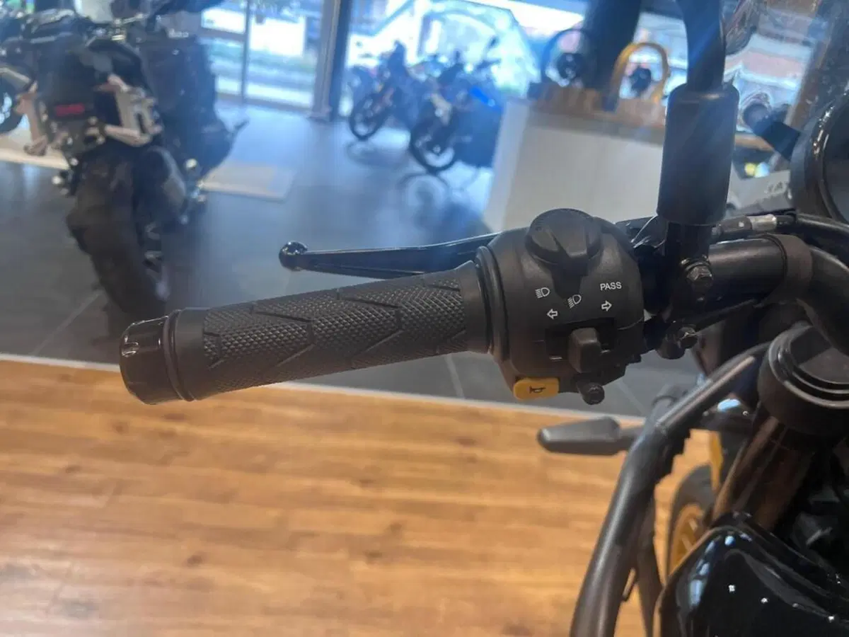 Royal Enfield Himalayan 450 (2024 - 26) (11)