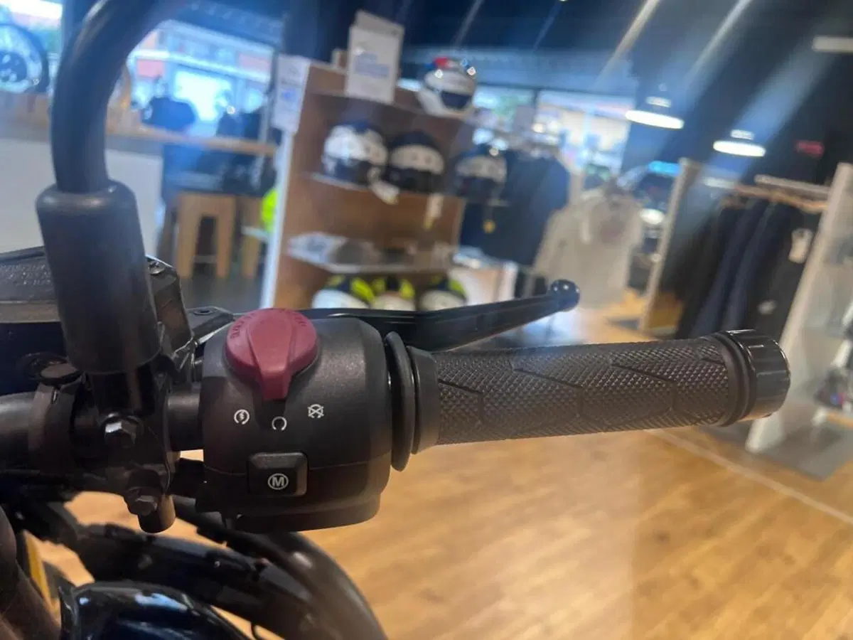 Royal Enfield Himalayan 450 (2024 - 26) (12)