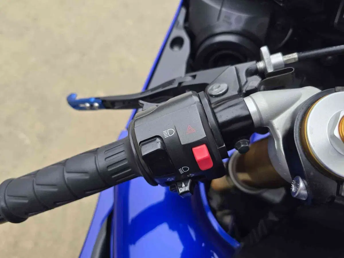 Yamaha YZF R1 (2007 - 08) (6)