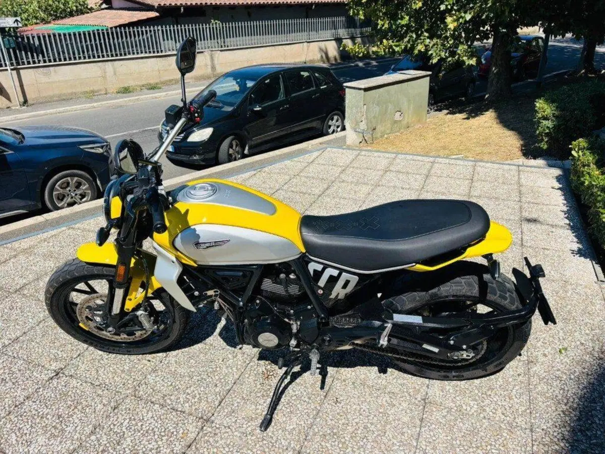 Ducati Scrambler 800 Icon (2023 - 24) (7)