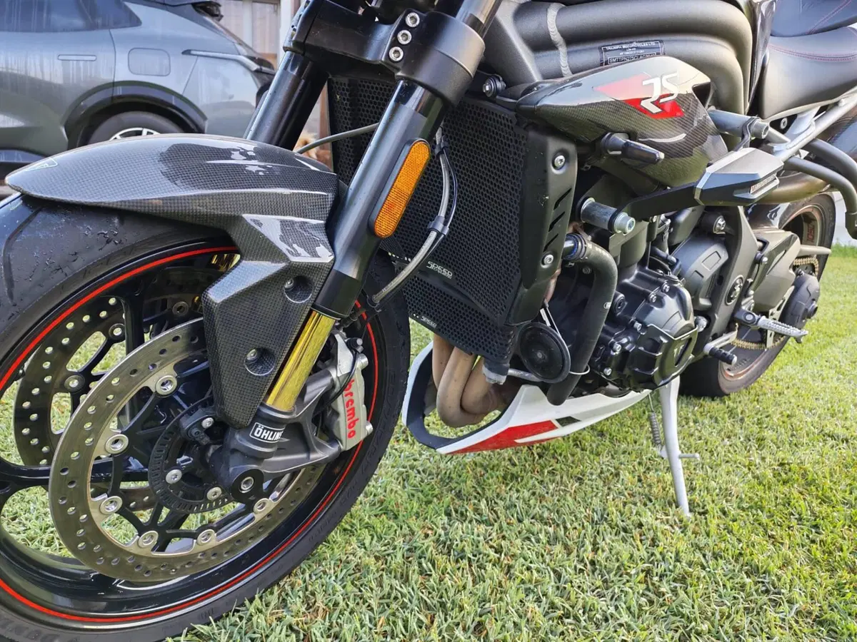 Triumph Speed Triple 1050 RS (2018 - 20) (6)