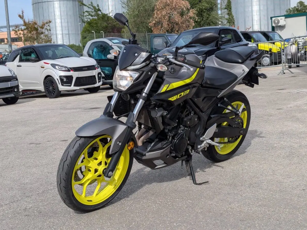 Yamaha MT-03 (2018 - 19) (4)
