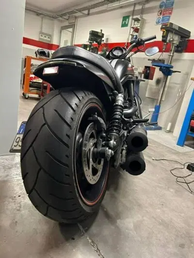 Harley-Davidson 1250 Night Rod Special (2008 - 17) - VRSCDX usata