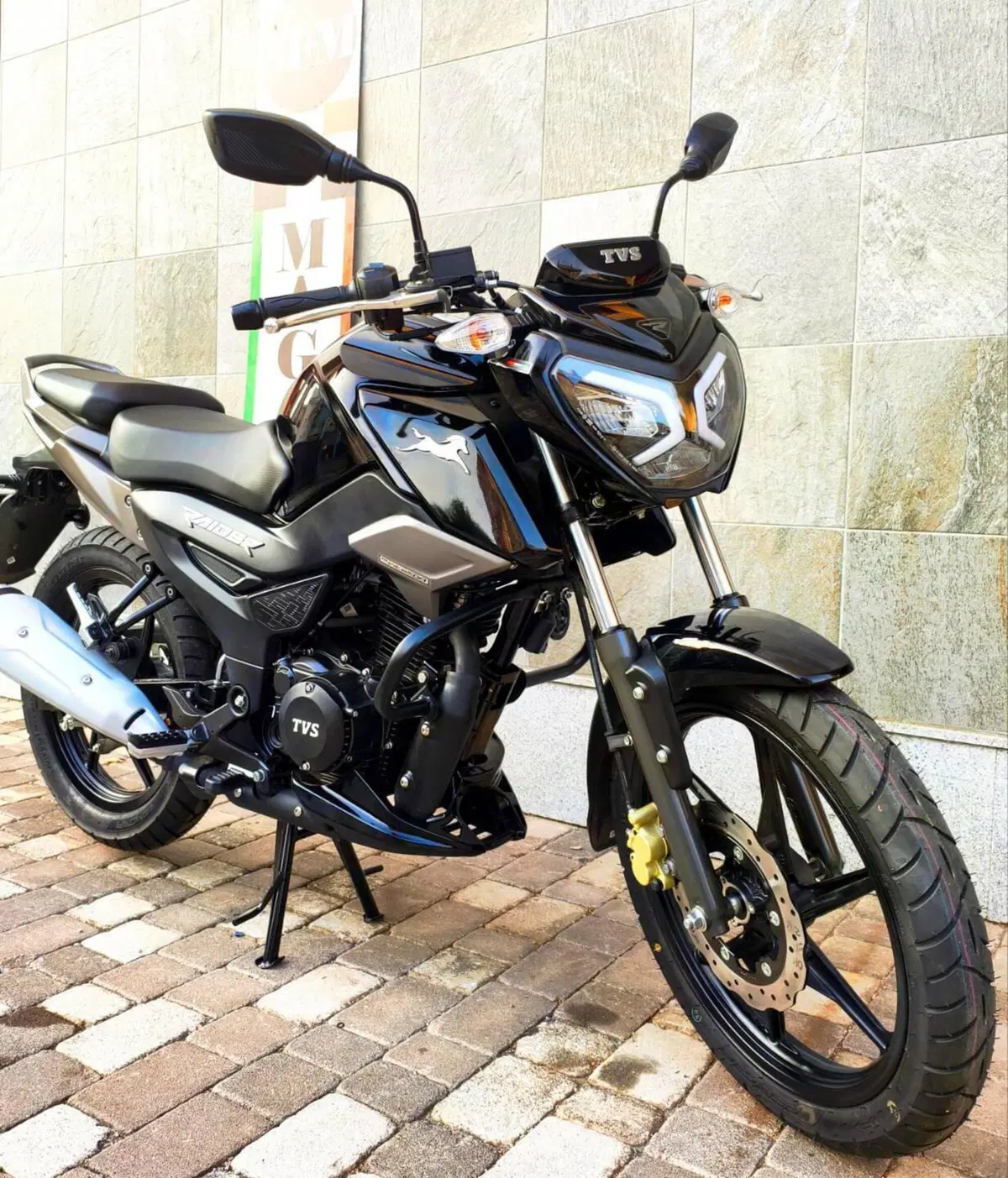 TVS Motor Raider 125 (2024 - 26) (5)