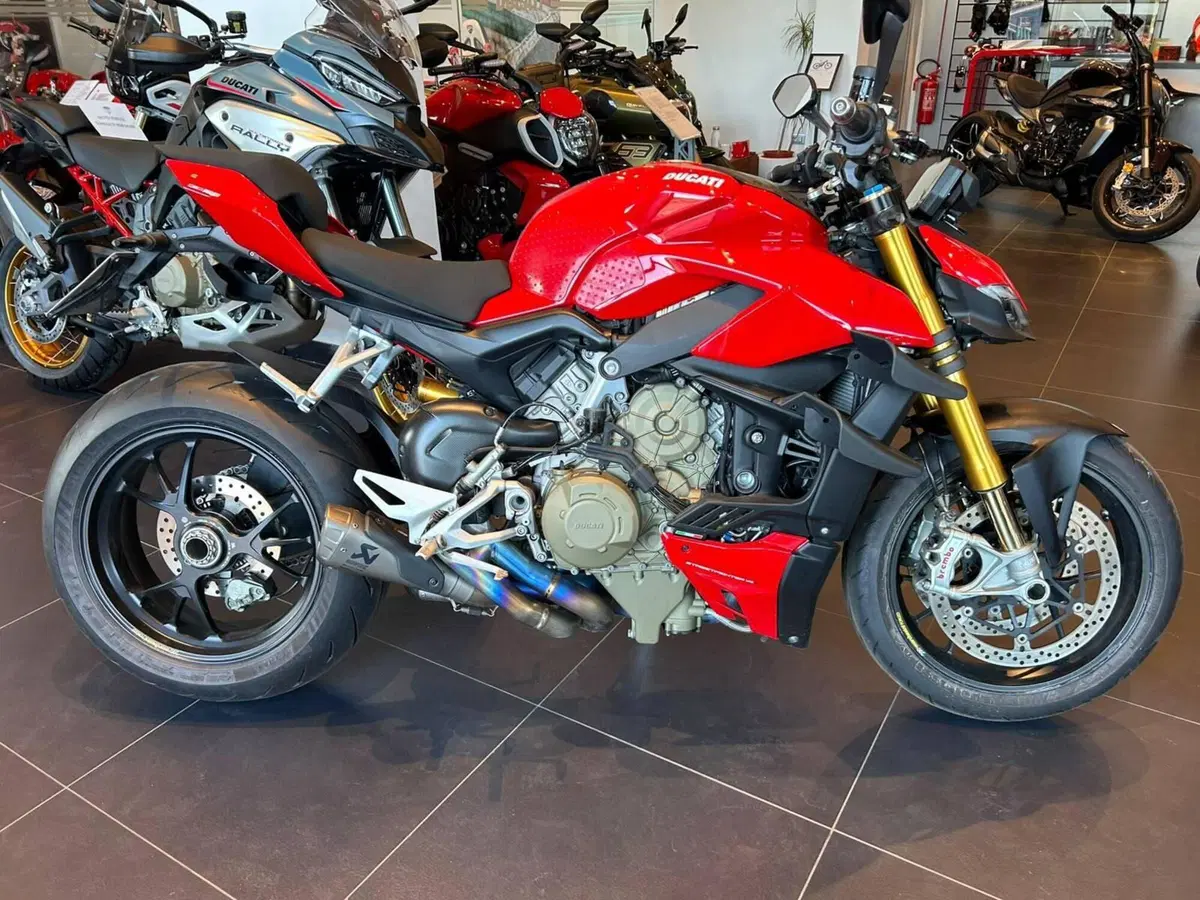Ducati Streetfighter V4 1100 S (2020) (4)