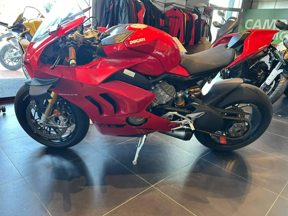 Ducati Panigale V4 S 1100 (2020) (4)