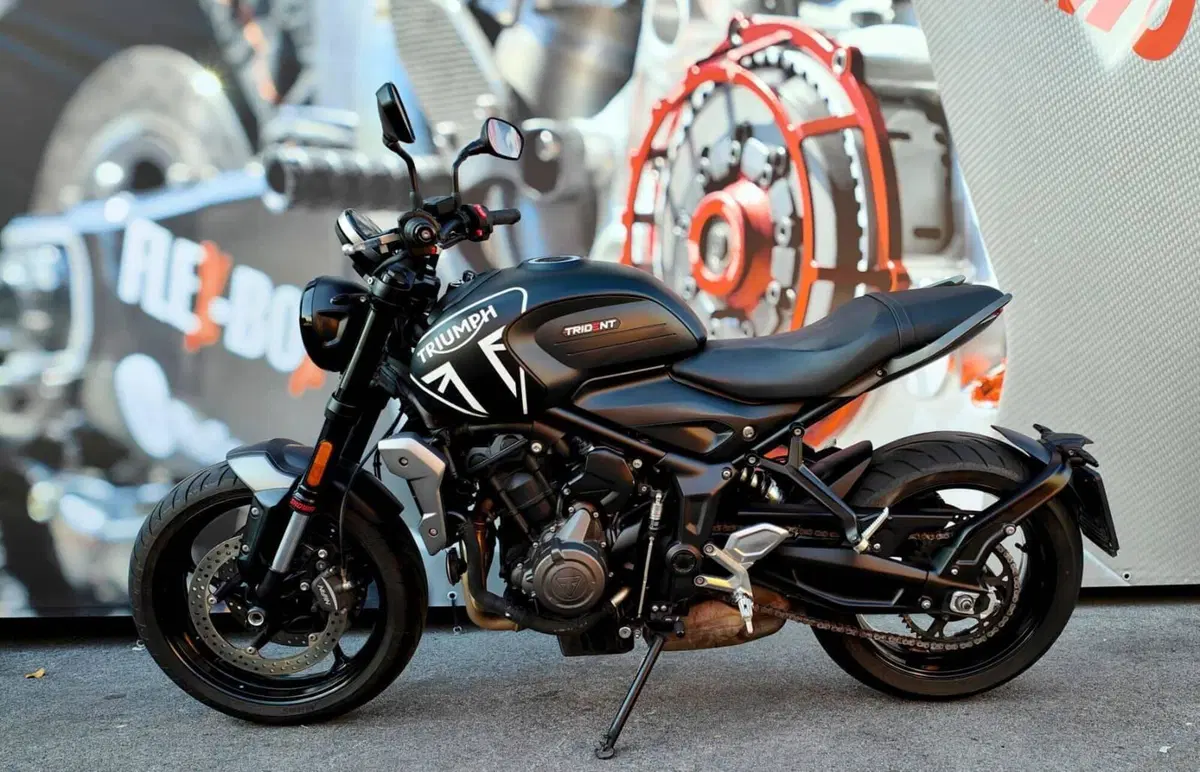 Triumph Trident 660 (2021 - 24) (3)