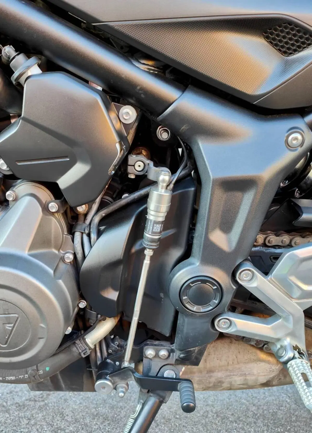 Triumph Trident 660 (2021 - 24) (7)