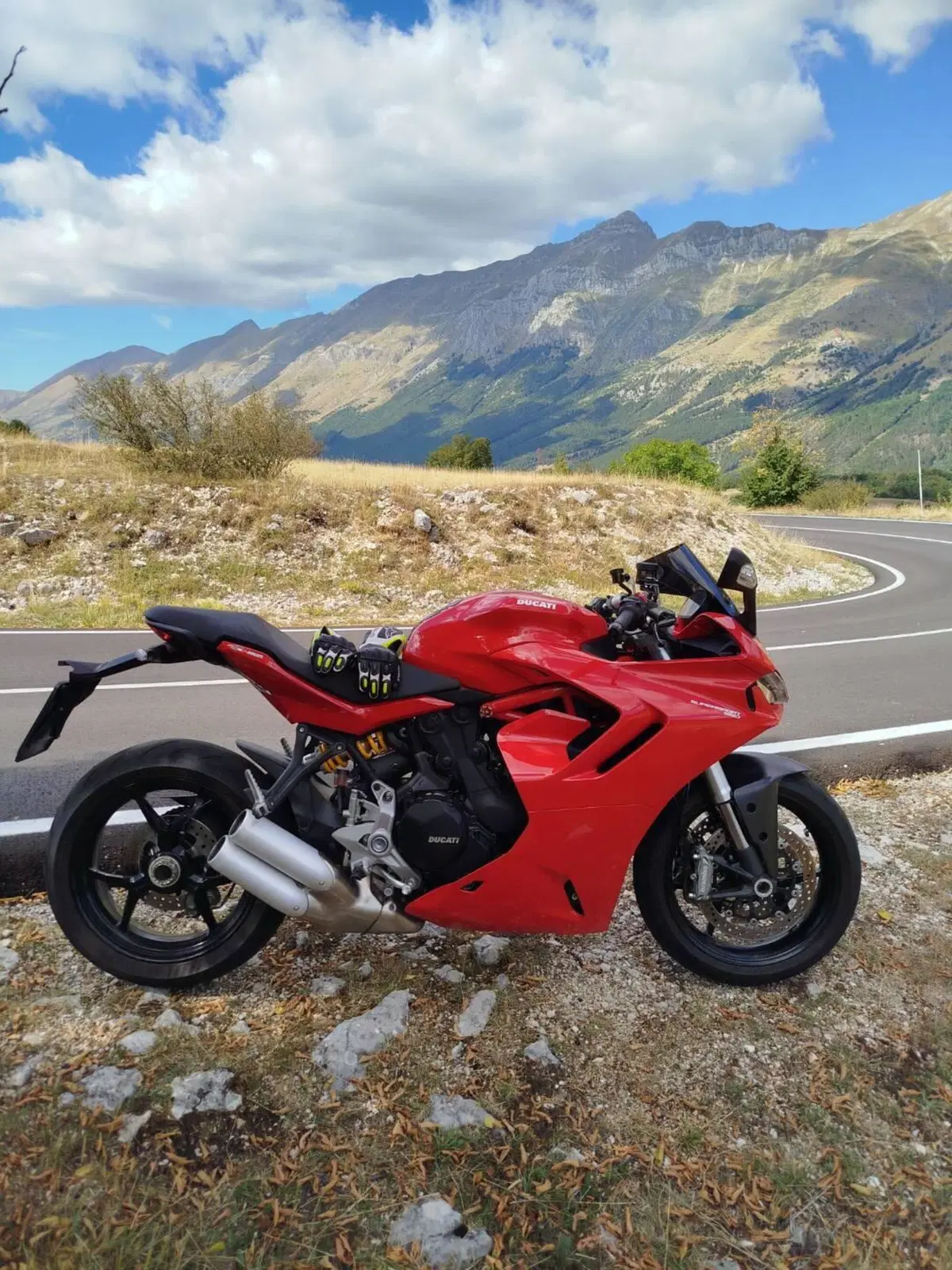 Ducati SuperSport 950 (2021 - 24) (6)