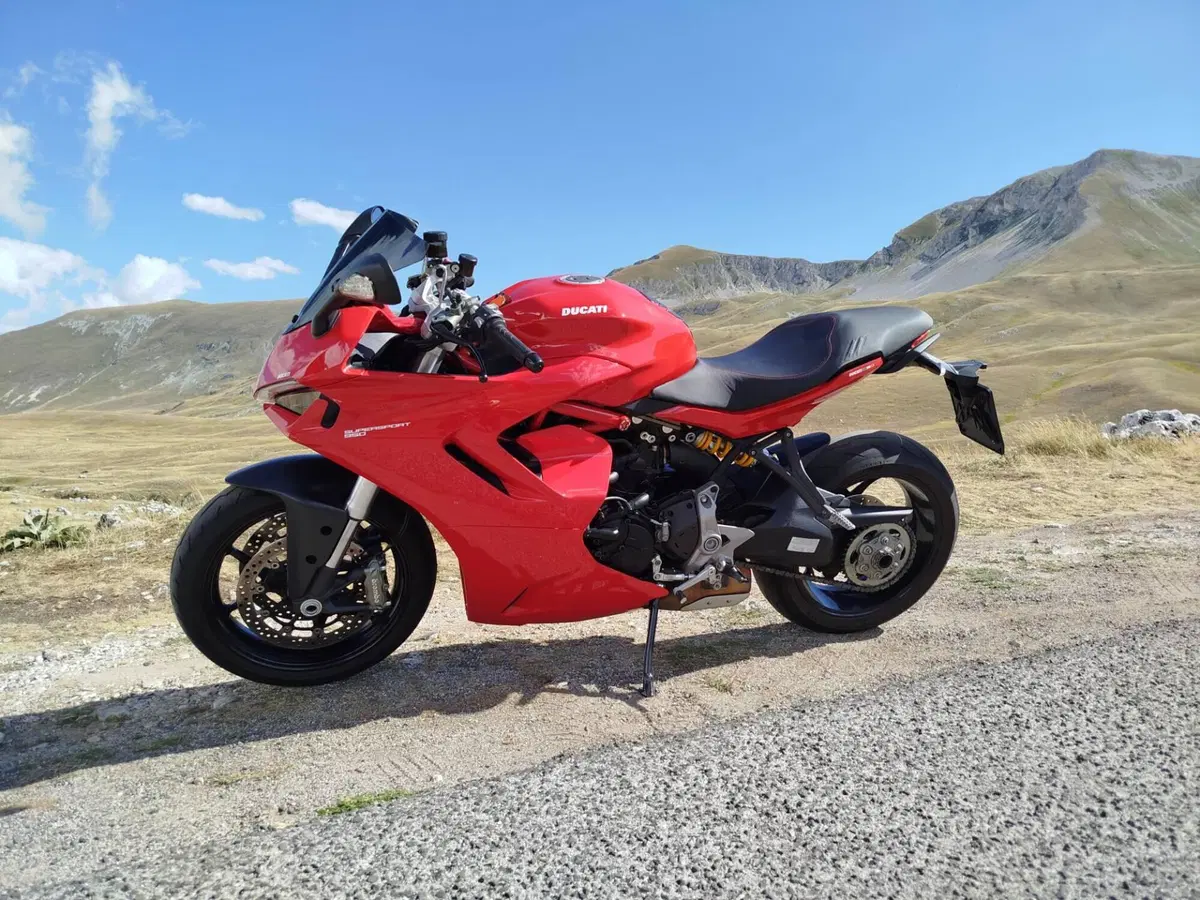 Ducati SuperSport 950 (2021 - 24) (11)