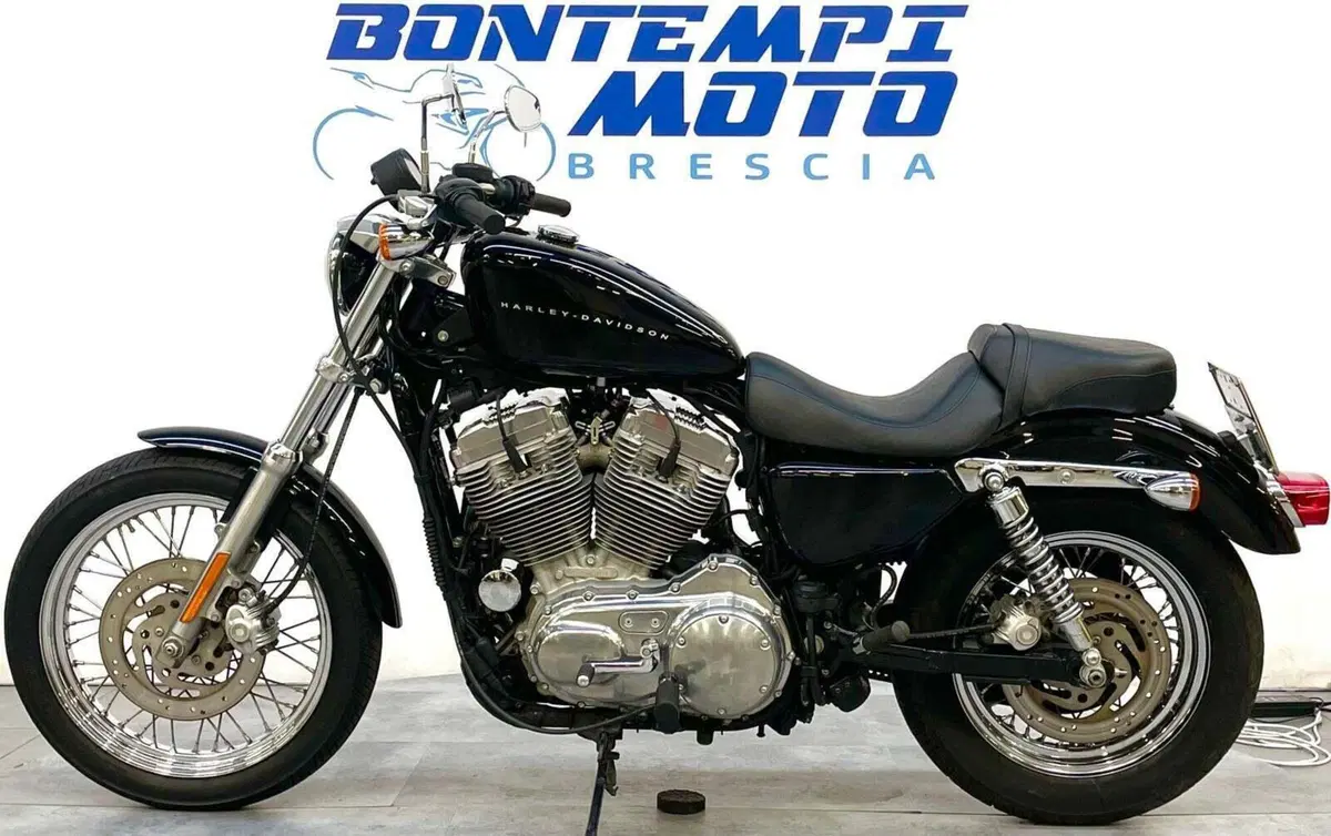 Harley-Davidson 883 (2008 - 09) - XL (2)