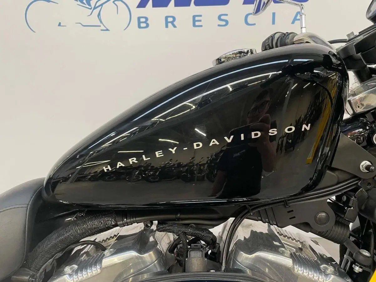 Harley-Davidson 883 (2008 - 09) - XL (3)