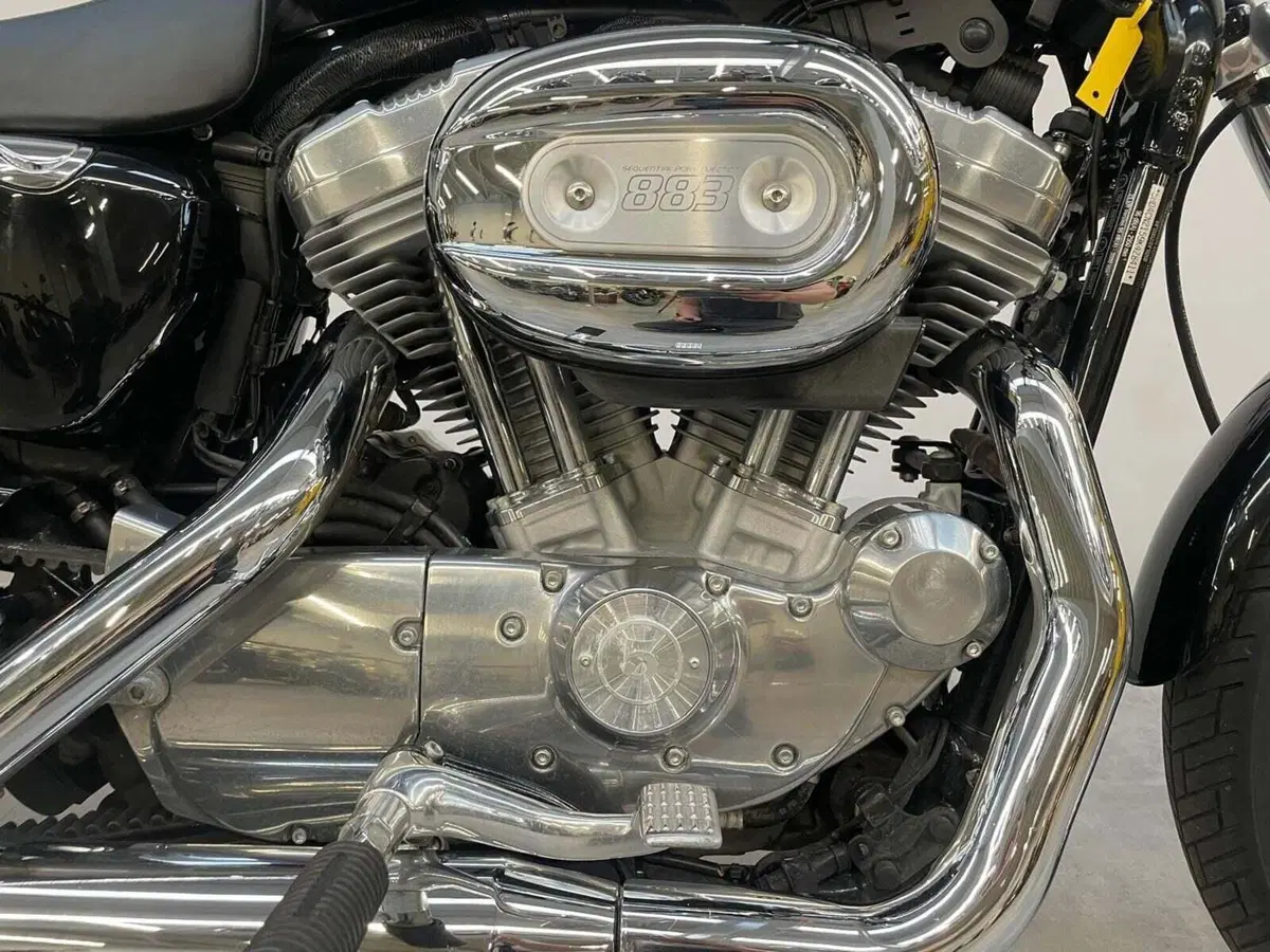 Harley-Davidson 883 (2008 - 09) - XL (4)