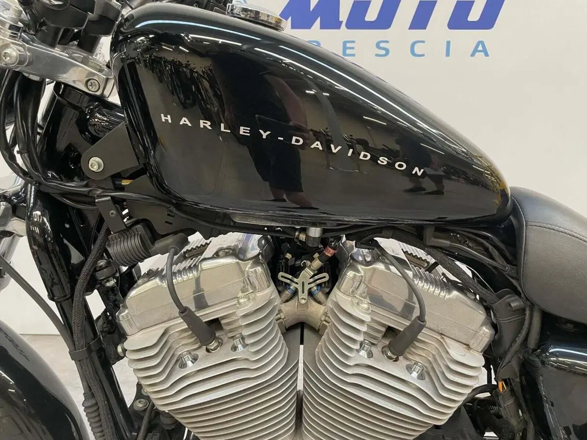 Harley-Davidson 883 (2008 - 09) - XL (11)