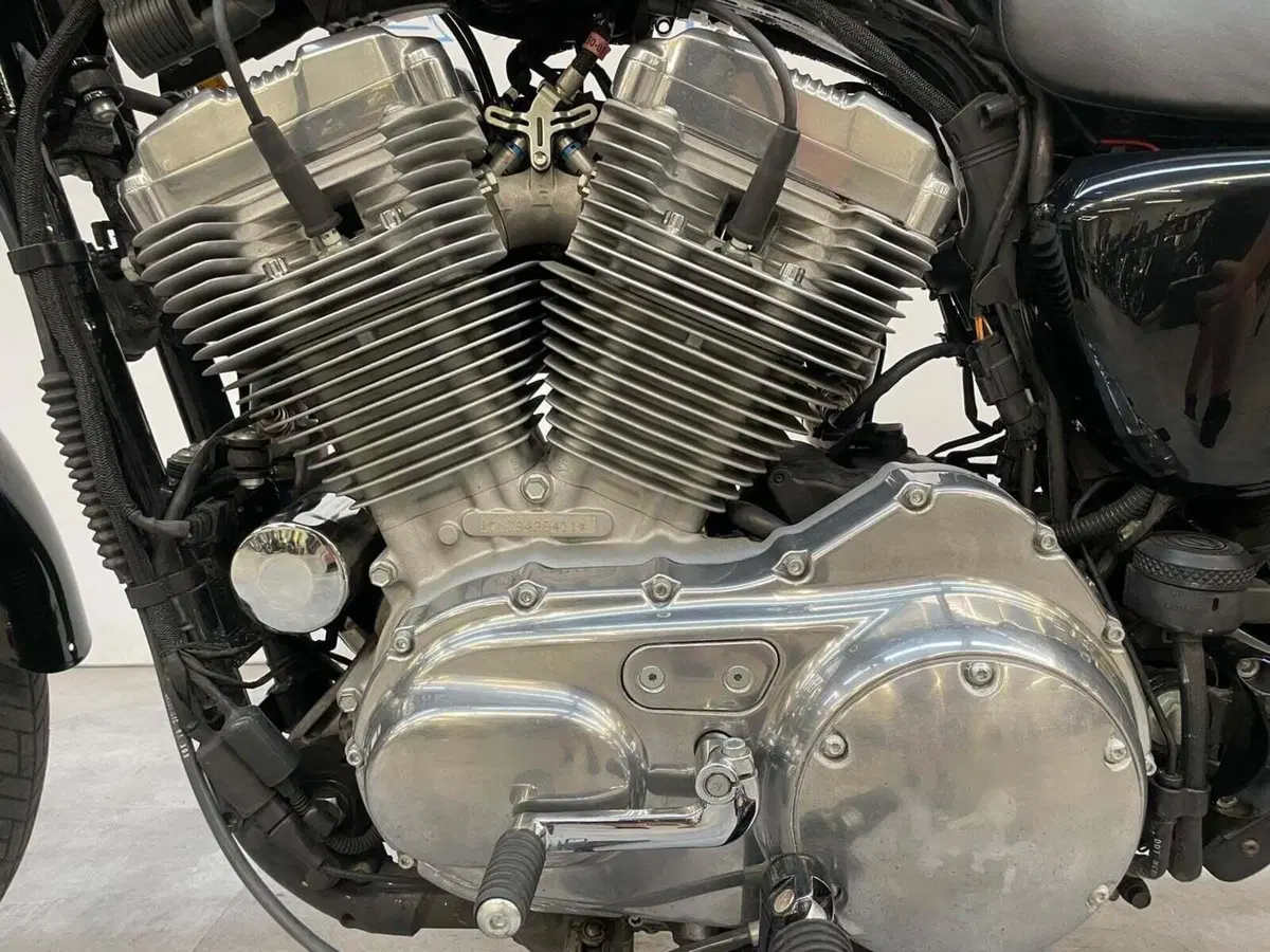 Harley-Davidson 883 (2008 - 09) - XL (12)
