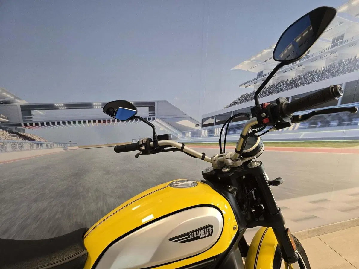 Ducati Scrambler 800 Icon (2021 - 22) (16)