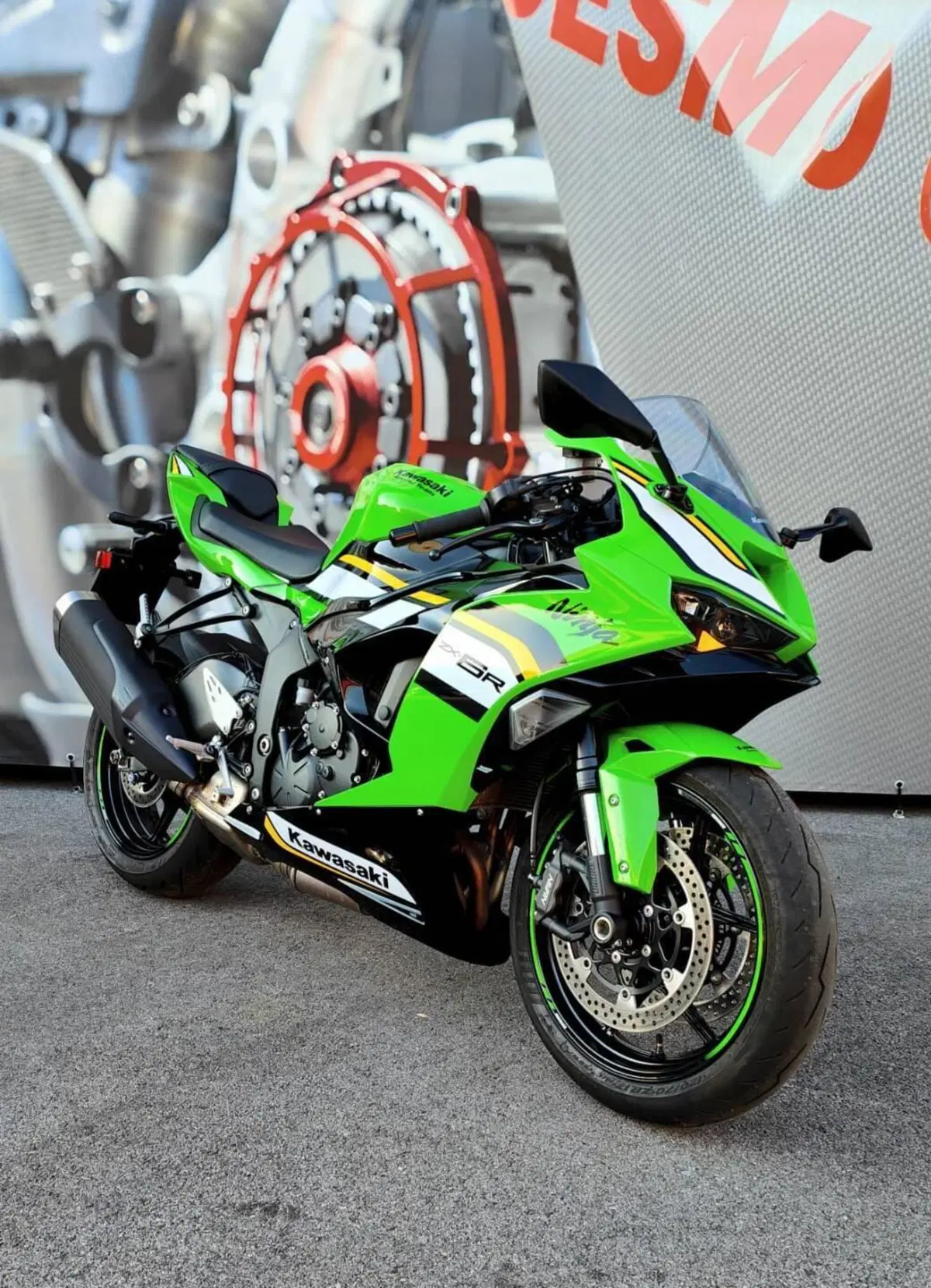 Kawasaki Ninja 636 ZX-6R (2024 - 26) (3)