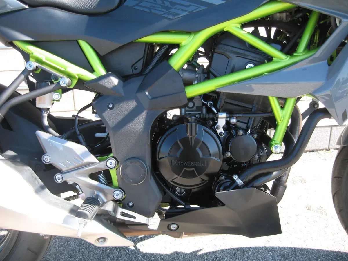 Kawasaki Z 125 (2021 - 24) (3)