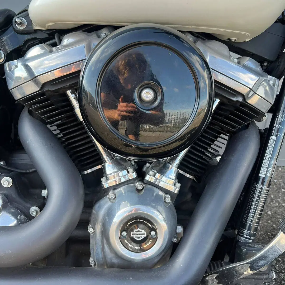 Harley-Davidson 107 Slim (2018 - 20) - FLSL (2)