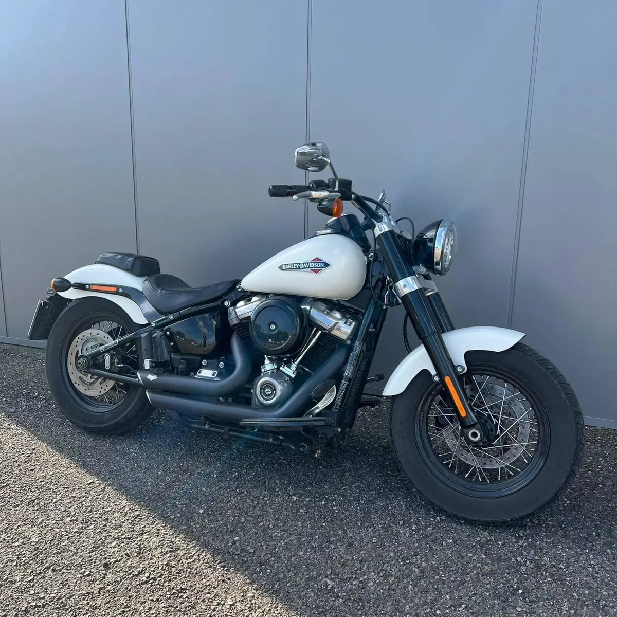 Harley-Davidson 107 Slim (2018 - 20) - FLSL (6)