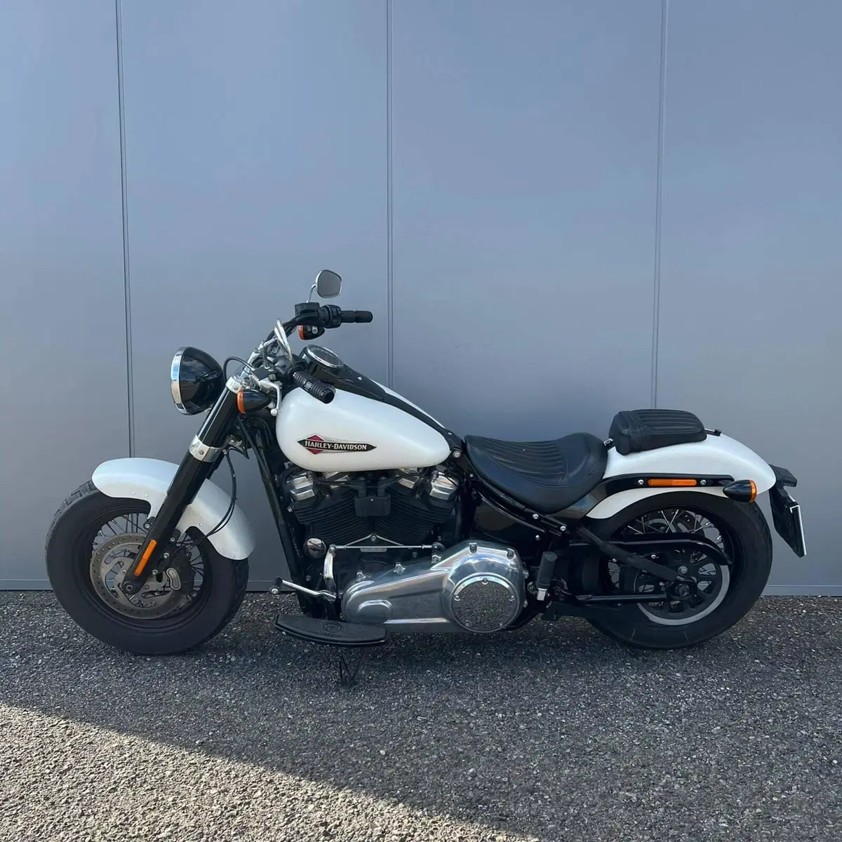 Harley-Davidson 107 Slim (2018 - 20) - FLSL (15)