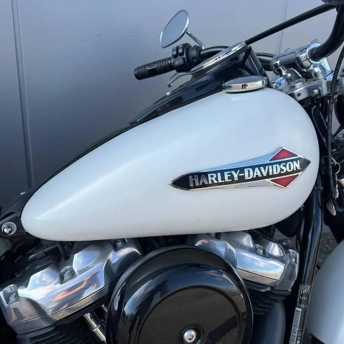 Harley-Davidson 107 Slim (2018 - 20) - FLSL (3)