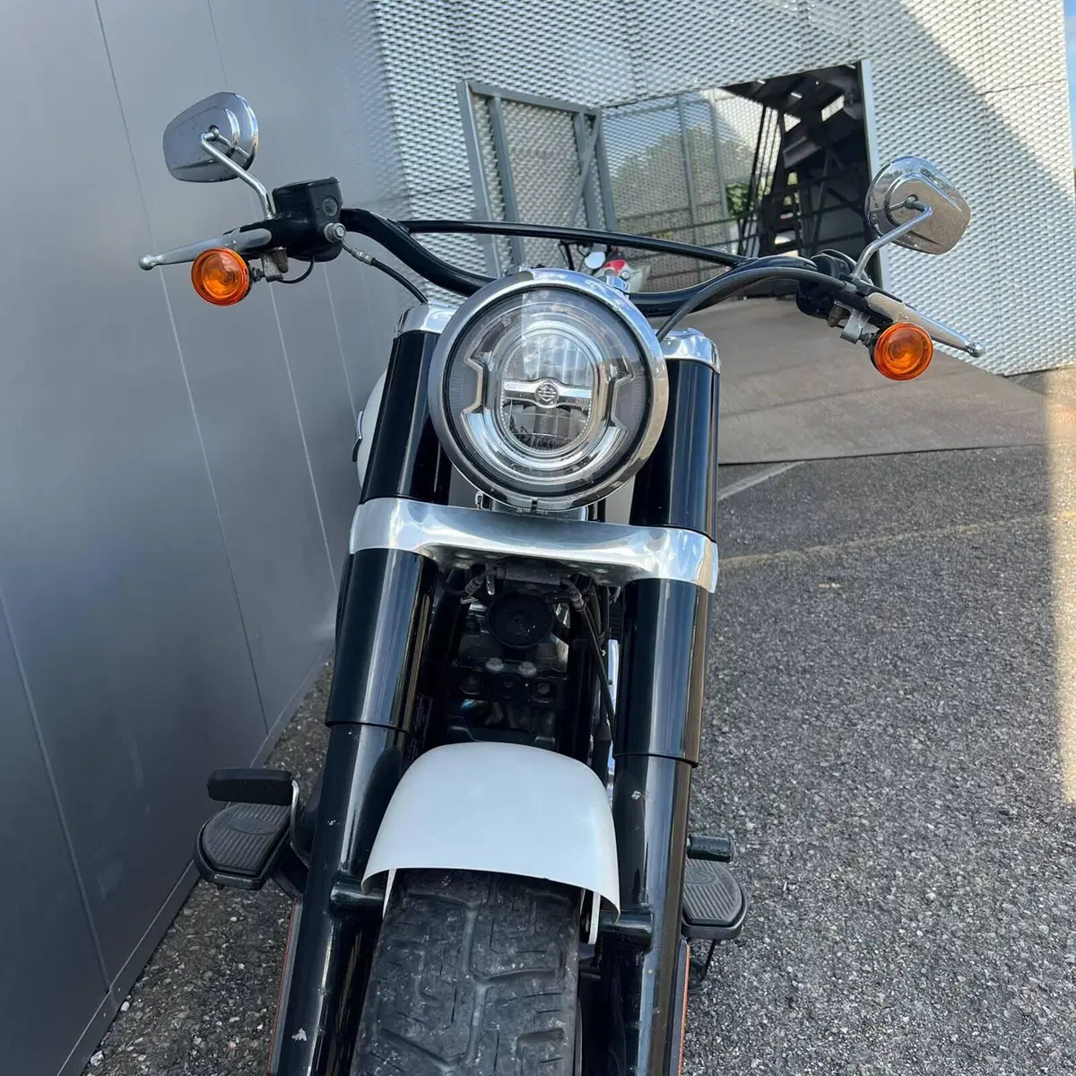 Harley-Davidson 107 Slim (2018 - 20) - FLSL (20)