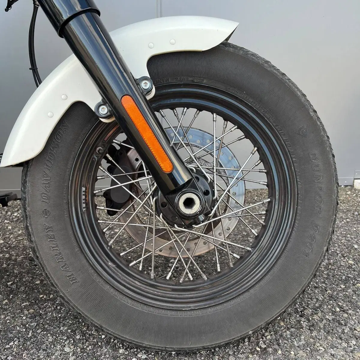 Harley-Davidson 107 Slim (2018 - 20) - FLSL (8)