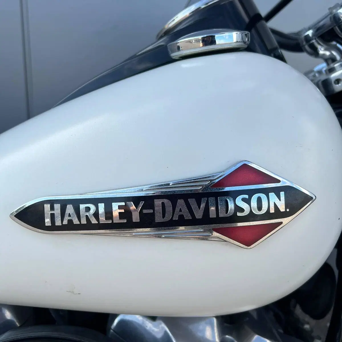 Harley-Davidson 107 Slim (2018 - 20) - FLSL (4)
