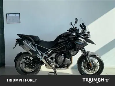 Triumph Tiger 1200 GT Pro (2024 - 26) usata