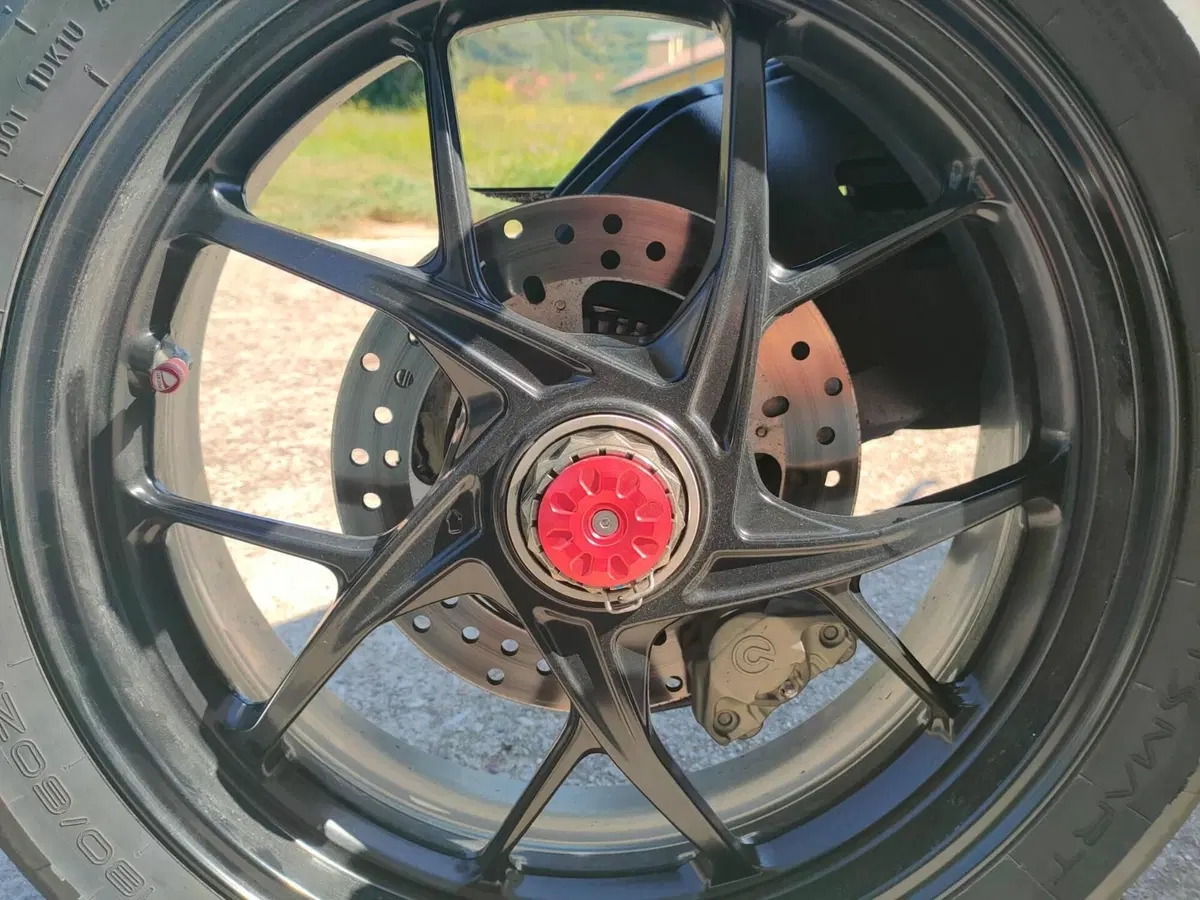 Ducati Panigale V2 (2021 - 24) (15)