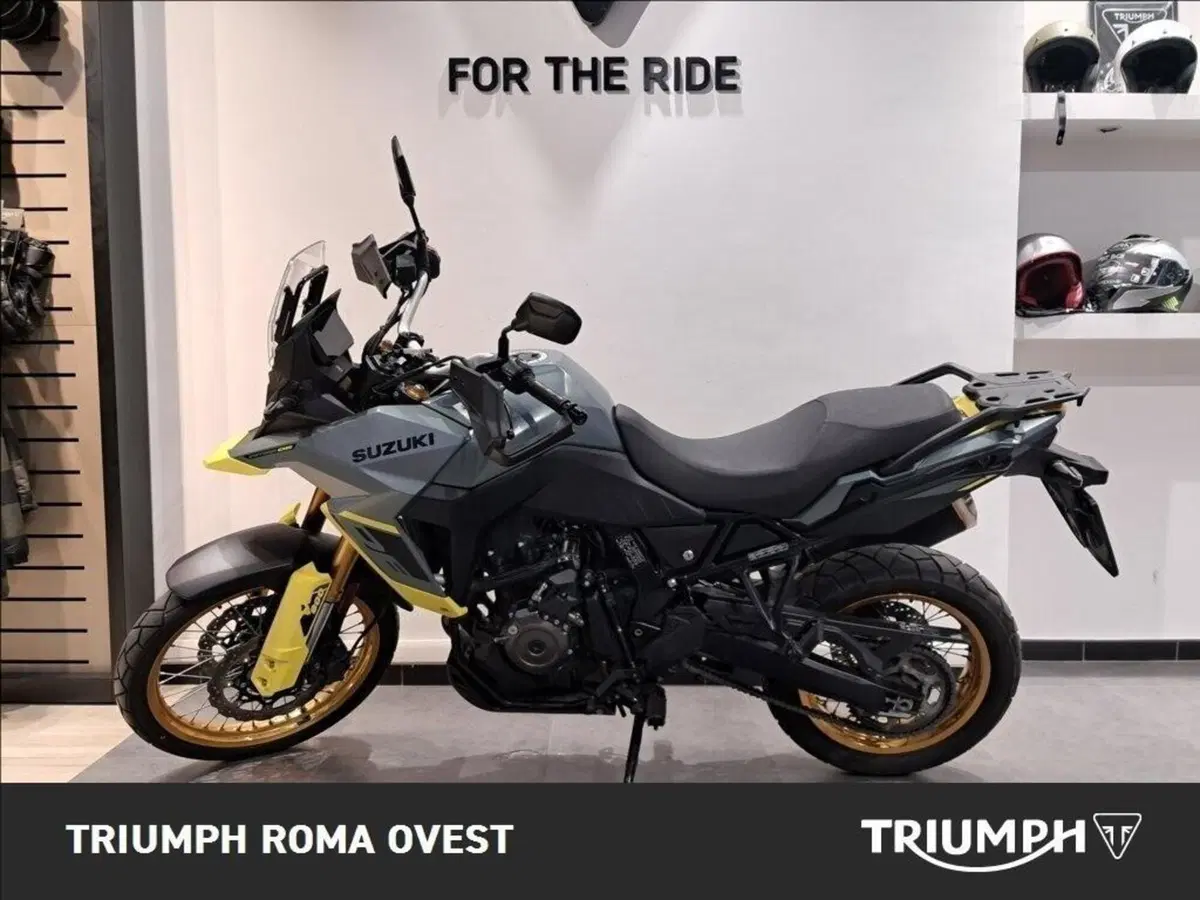 Suzuki V-Strom 800DE (2023 - 24) (8)