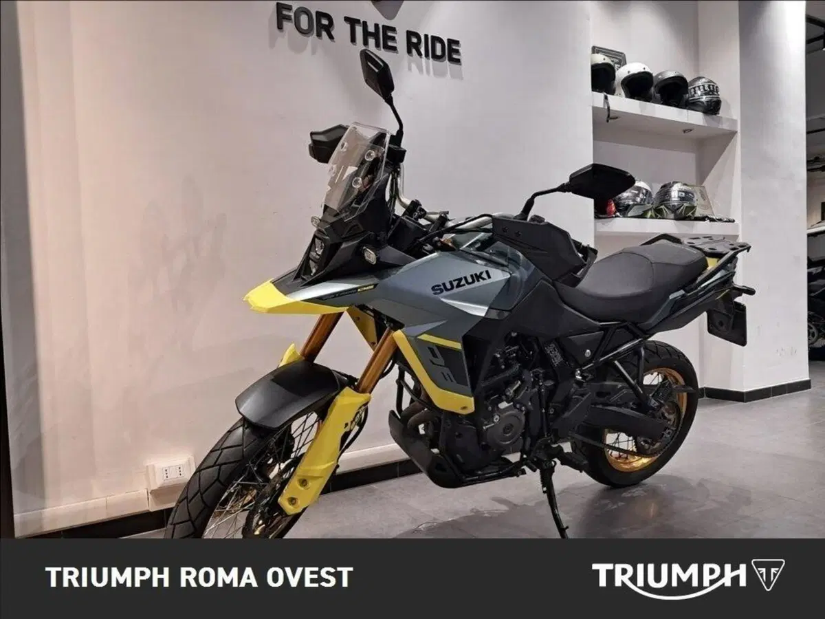 Suzuki V-Strom 800DE (2023 - 24) (10)