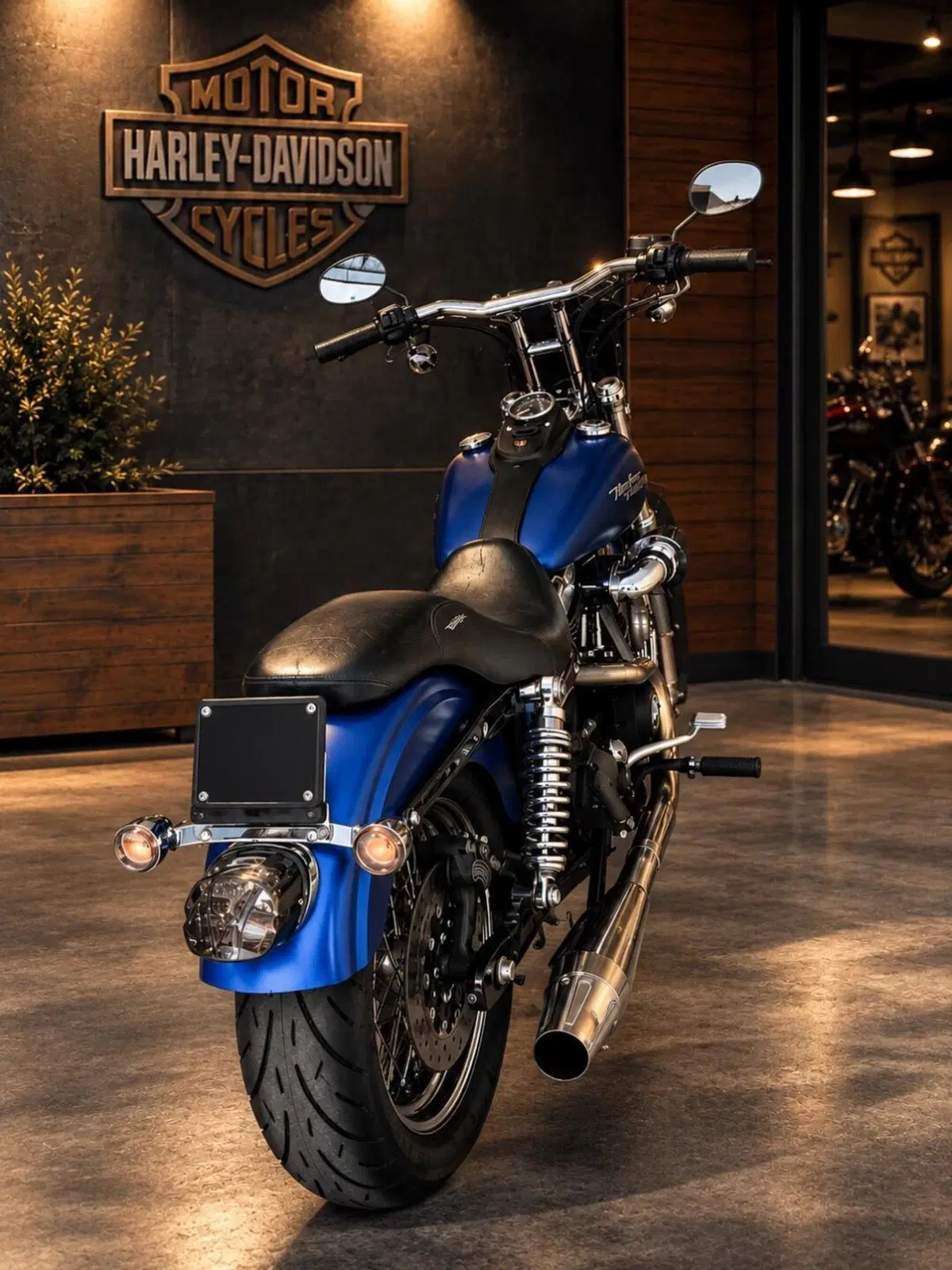 Harley-Davidson 1584 Street Bob (2007) - FXDB (2)