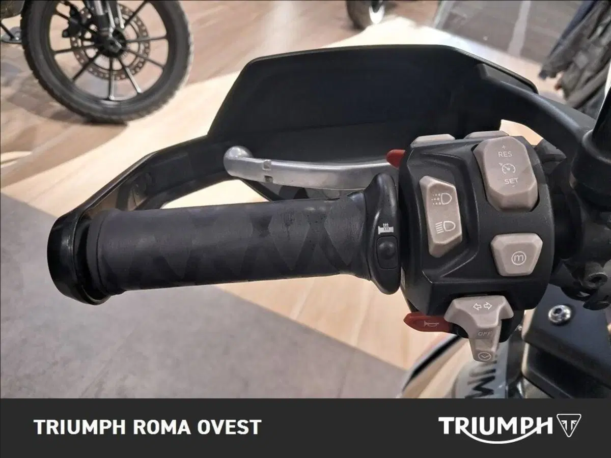 Triumph Tiger 900 Rally (2020 - 23) (14)