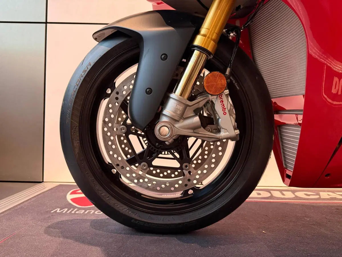 Ducati Panigale V4 S (2025 - 26) (9)