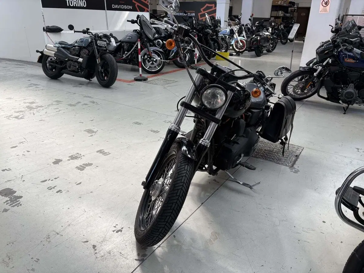 Harley-Davidson 1584 Street Bob (2008 - 15) - FXDB (5)
