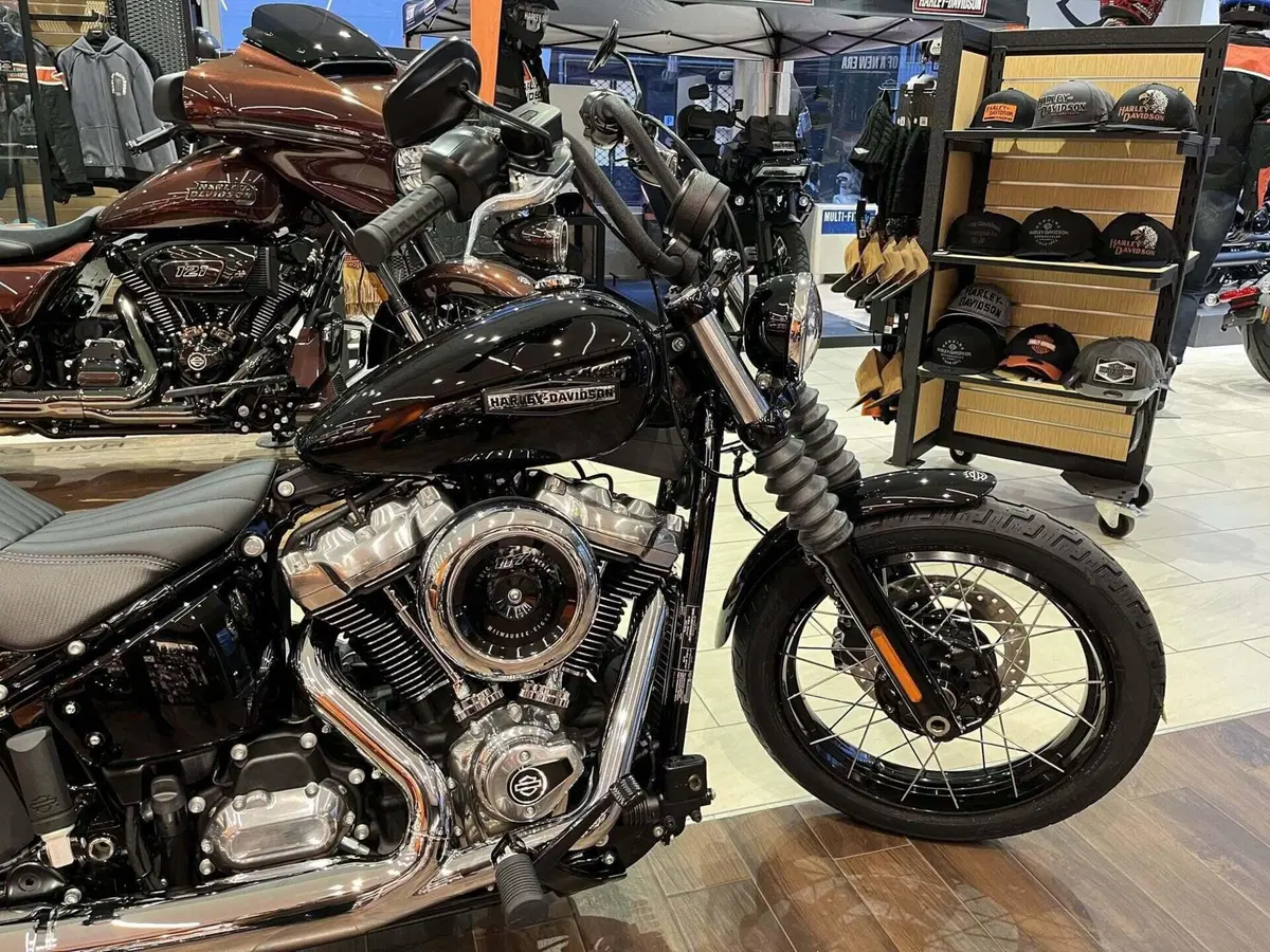Harley-Davidson Street Bob 117 (2025 - 26) (2)