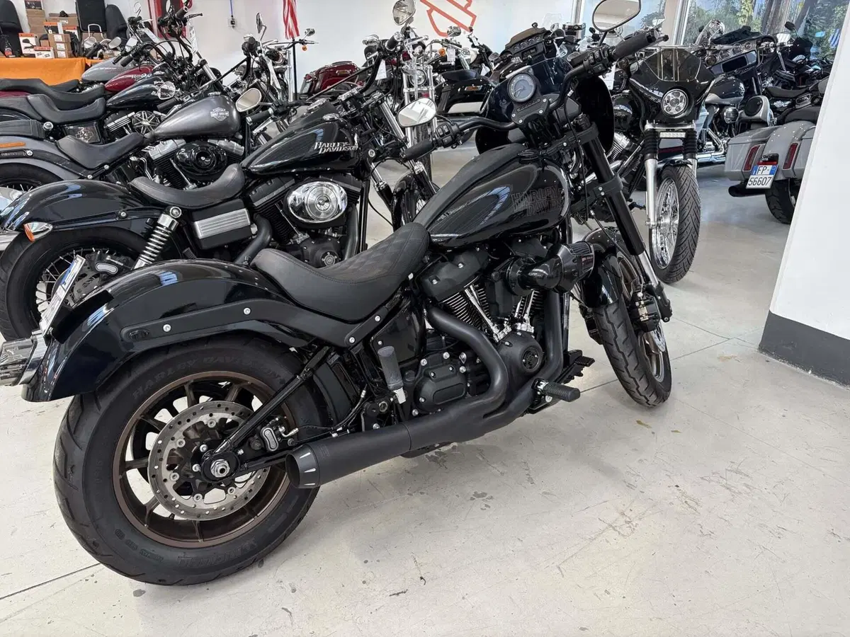 Harley-Davidson Low Rider S (2022 - 24) (2)