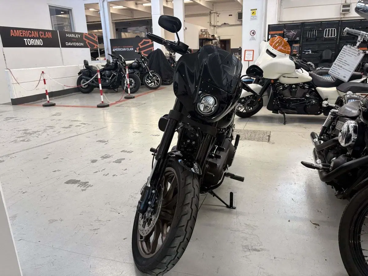 Harley-Davidson Low Rider S (2022 - 24) (4)