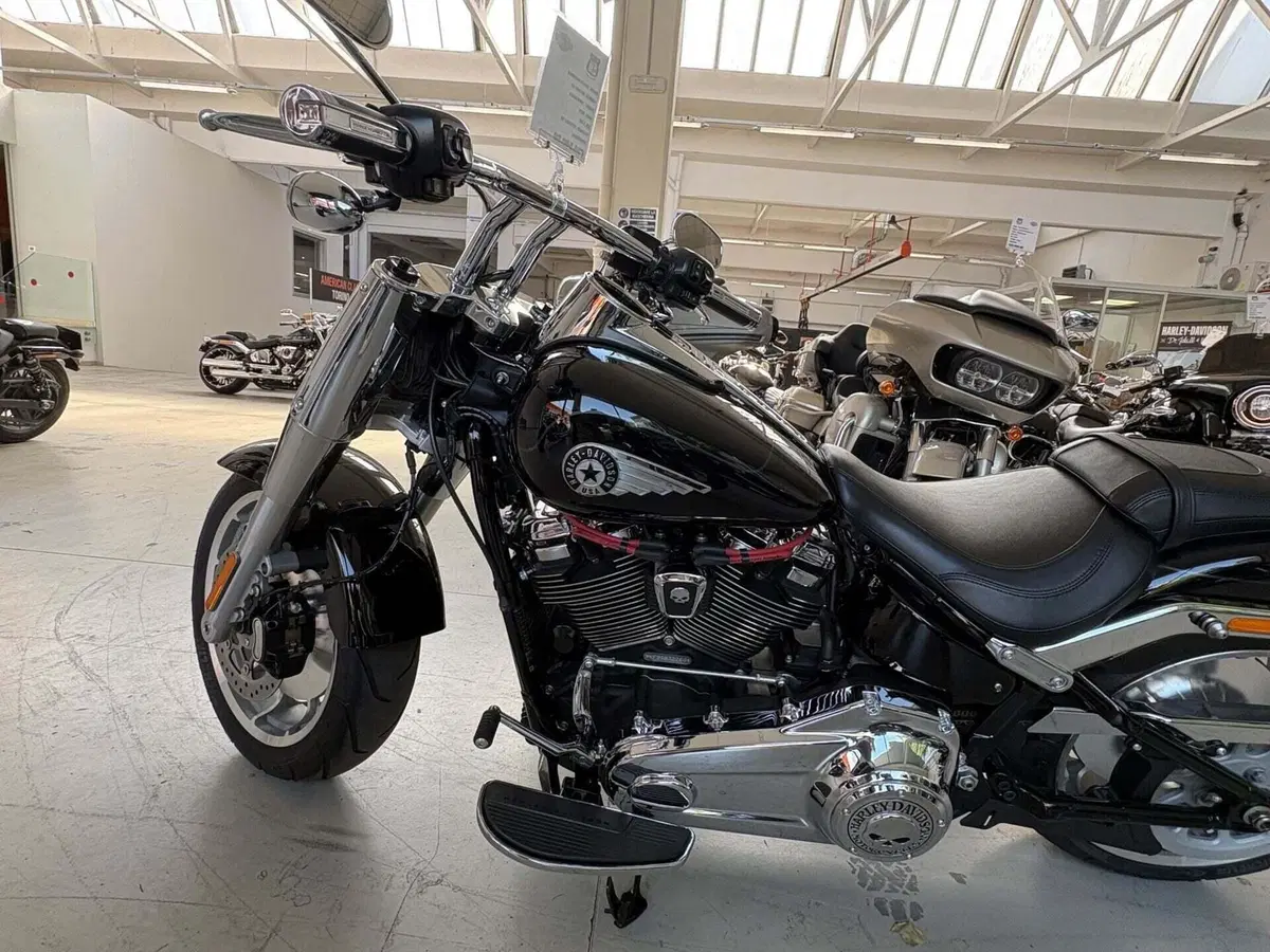 Harley-Davidson Fat Boy 117 (2025 - 26) (6)