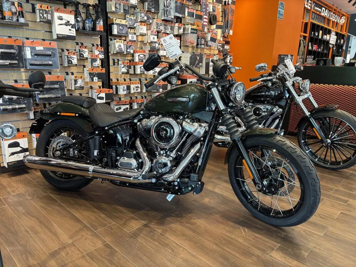 Harley-Davidson Street Bob 117 (2025 - 26) (2)