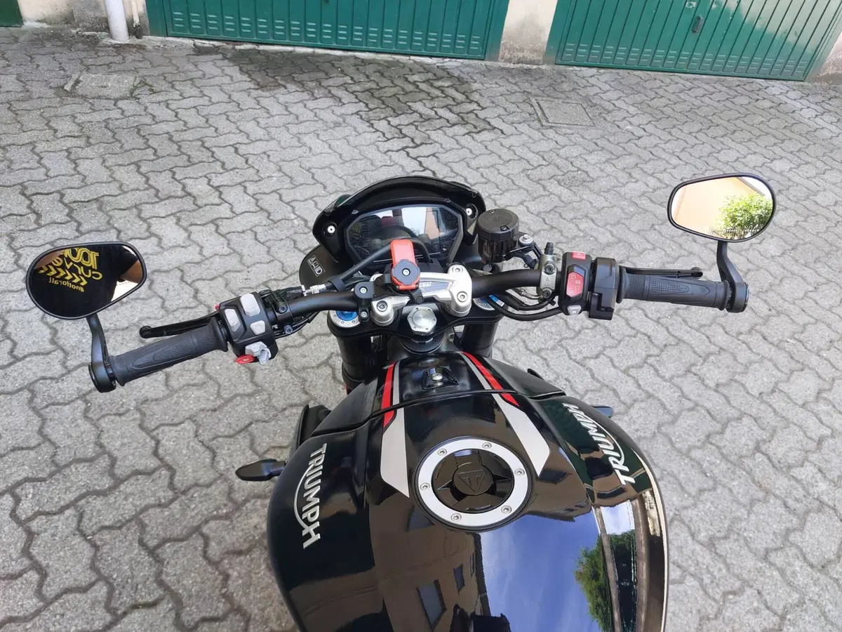 Triumph Speed Triple 1050 RS (2018 - 20) (6)