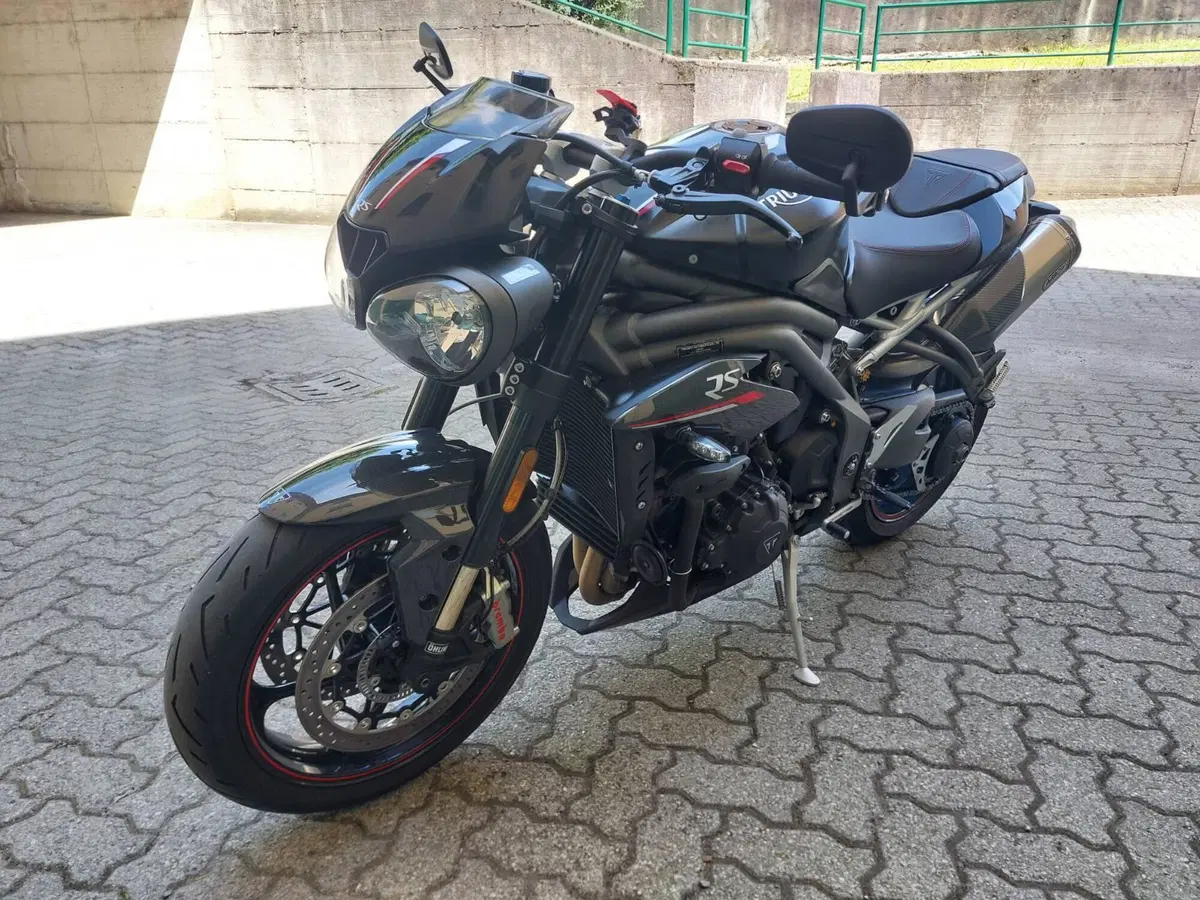 Triumph Speed Triple 1050 RS (2018 - 20) (11)