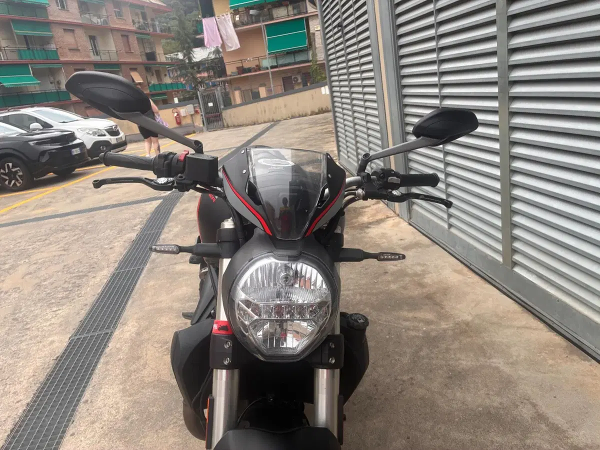 Ducati Monster 821 Stealth (2019 - 20) (2)