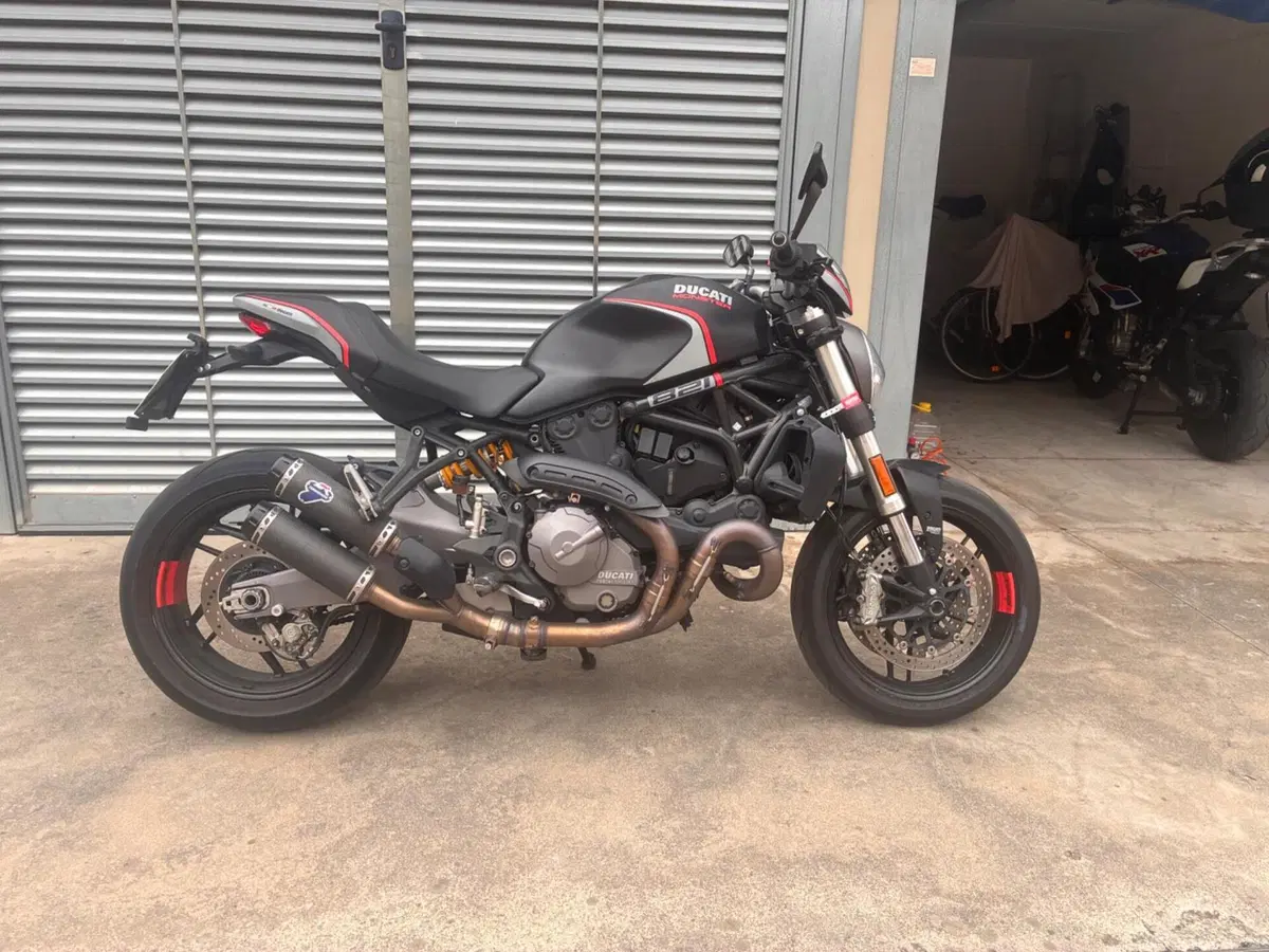 Ducati Monster 821 Stealth (2019 - 20) (6)